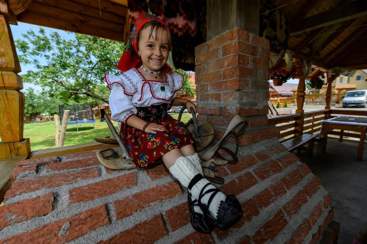 Pensiune Agroturistica "Casa Teodora" Budeşti Buitenkant foto