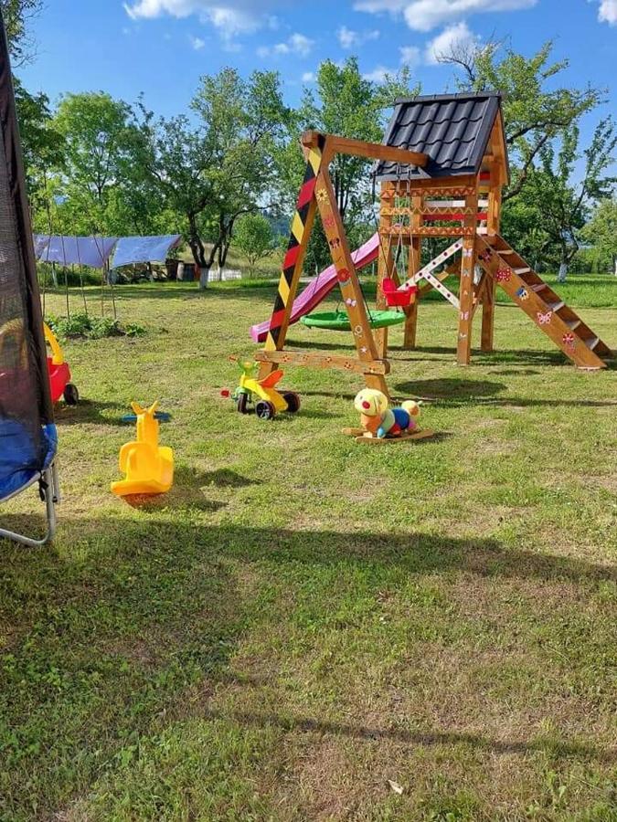 Pensiune Agroturistica "Casa Teodora" Budeşti Buitenkant foto