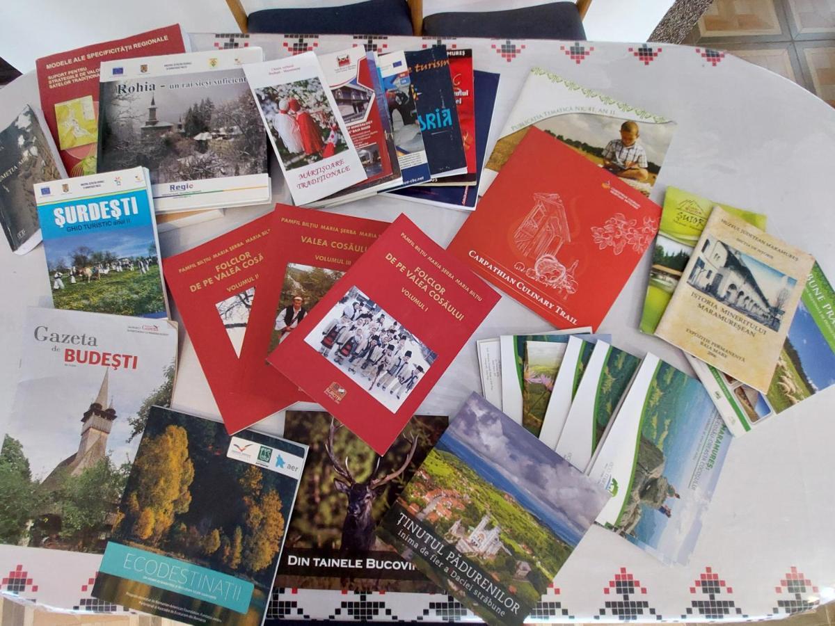 Pensiune Agroturistica "Casa Teodora" Budeşti Buitenkant foto
