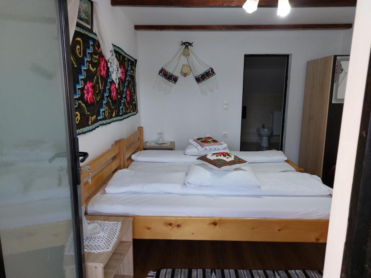Pensiune Agroturistica "Casa Teodora" Budeşti Buitenkant foto