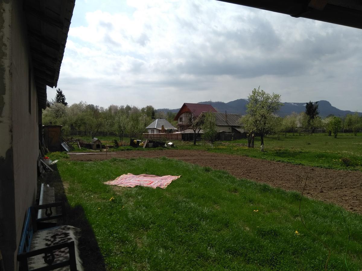 Pensiune Agroturistica "Casa Teodora" Budeşti Buitenkant foto