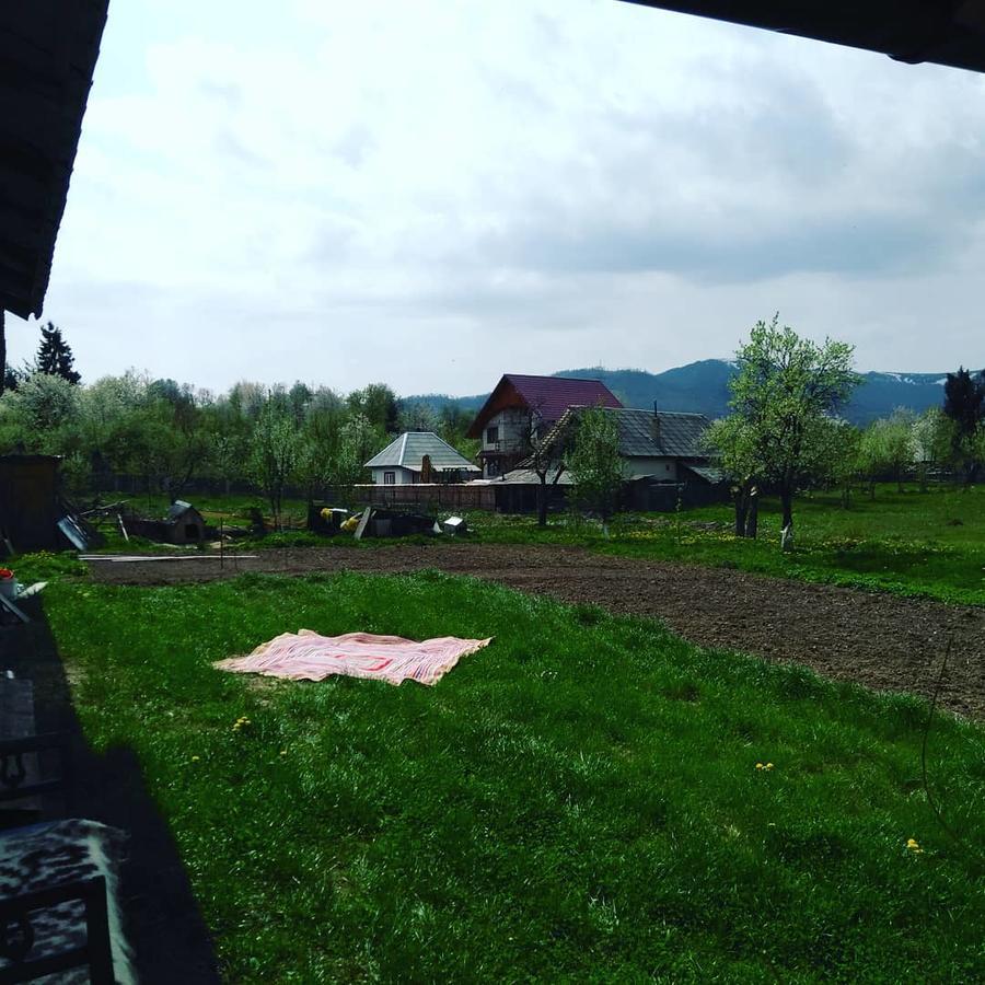 Pensiune Agroturistica "Casa Teodora" Budeşti Buitenkant foto