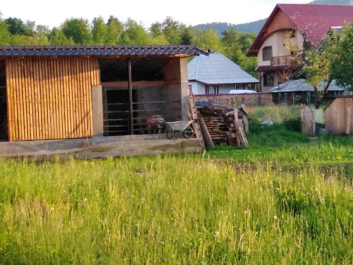 Pensiune Agroturistica "Casa Teodora" Budeşti Buitenkant foto